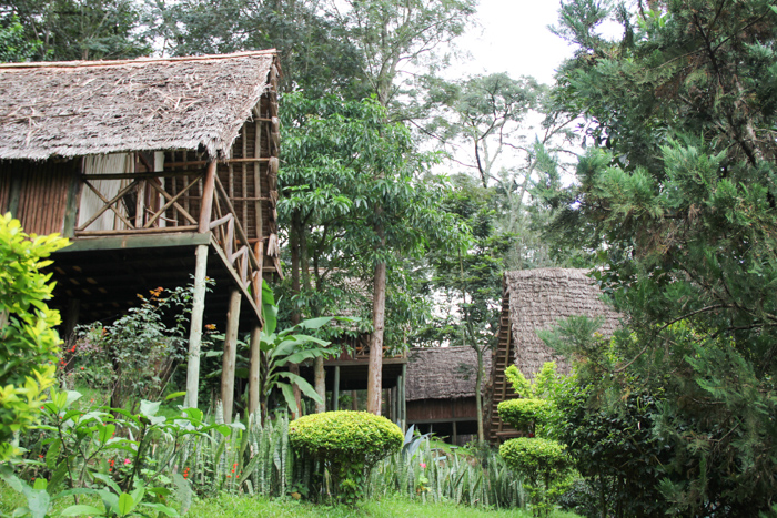 Karama Lodge à Arusha, Tanzanie