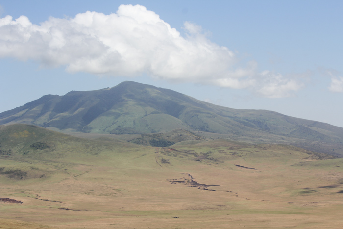 Safari cratère N'Gorongoro - Tanzanie