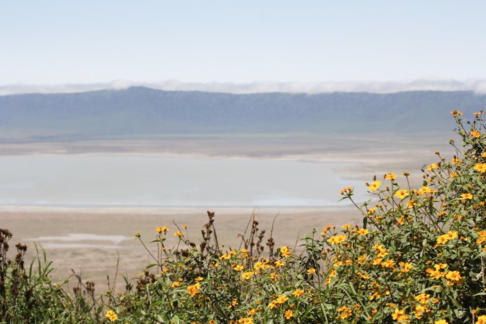 Safari cratère N'Gorongoro - Tanzanie