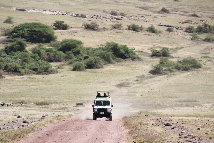 Safari cratère N'Gorongoro - Tanzanie