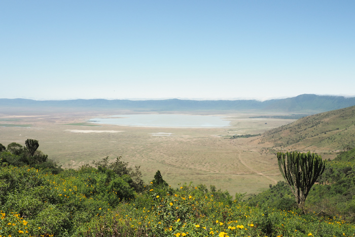 Safari cratère N'Gorongoro - Tanzanie