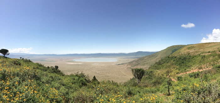 Safari cratère N'Gorongoro - Tanzanie