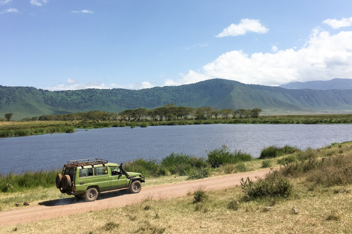 Safari cratère N'Gorongoro - Tanzanie