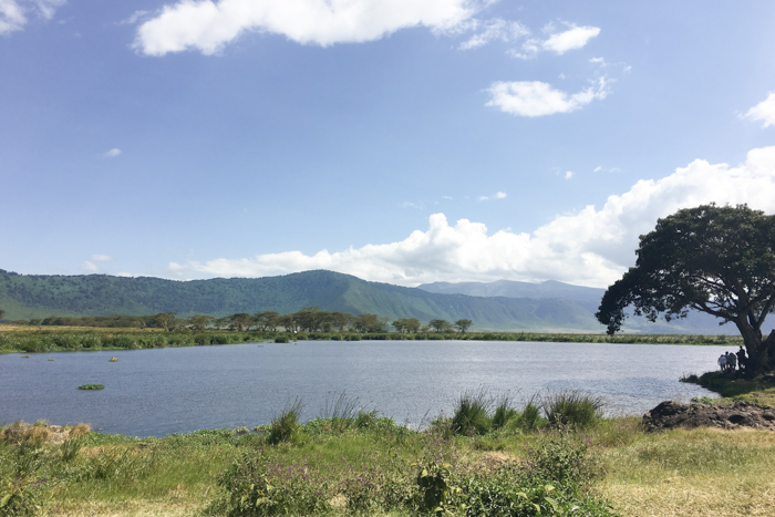 Safari cratère N'Gorongoro - Tanzanie