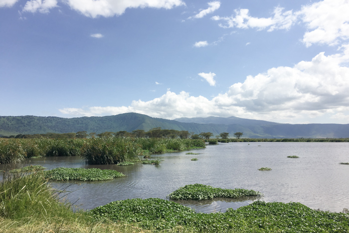 Safari cratère N'Gorongoro - Tanzanie