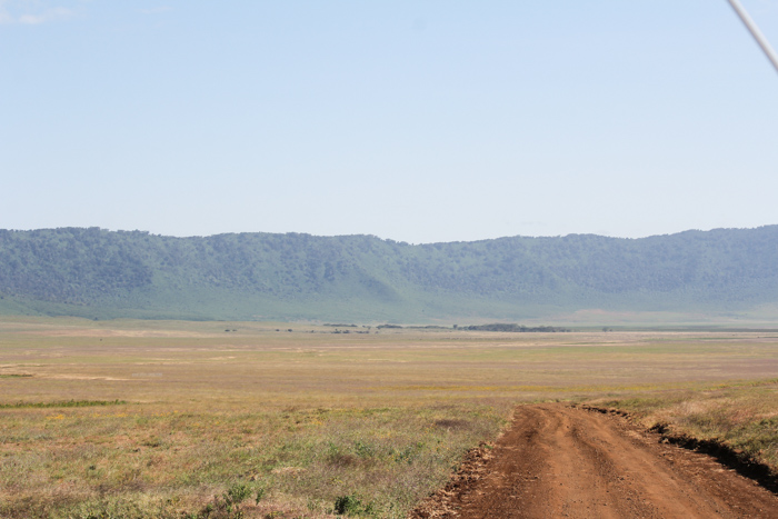 Safari cratère N'Gorongoro - Tanzanie