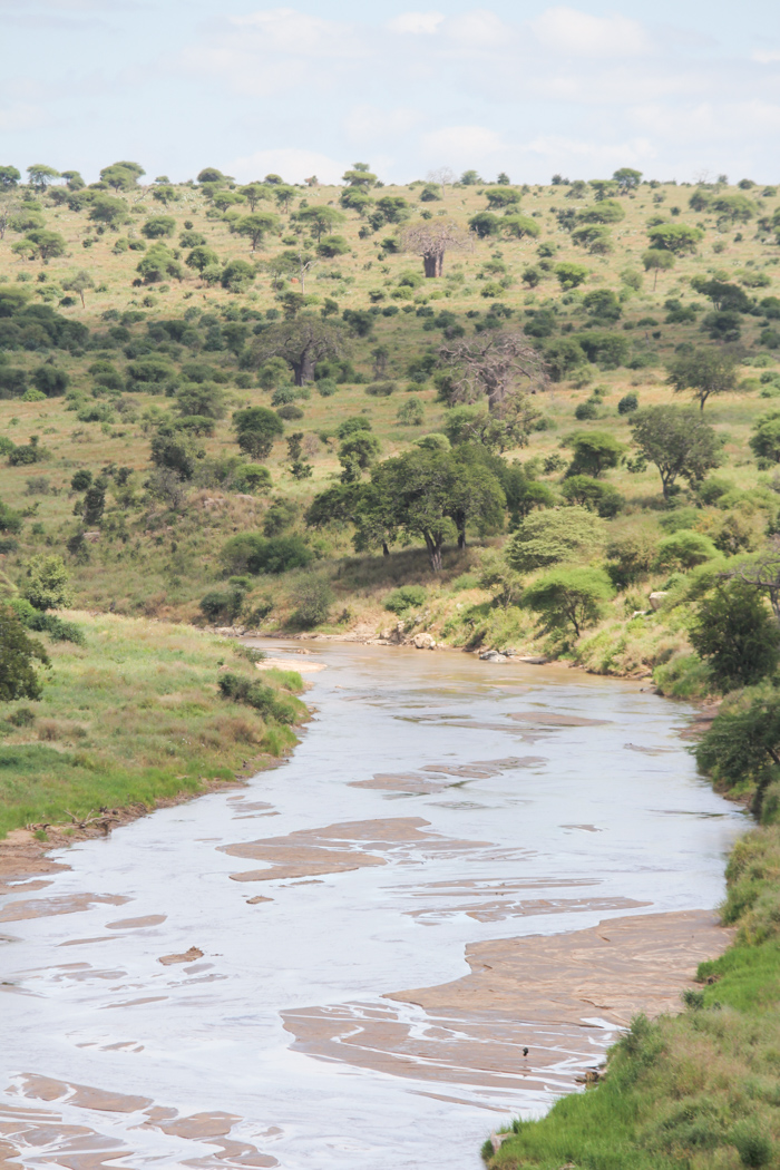 Safari Tarangire Tanzanie