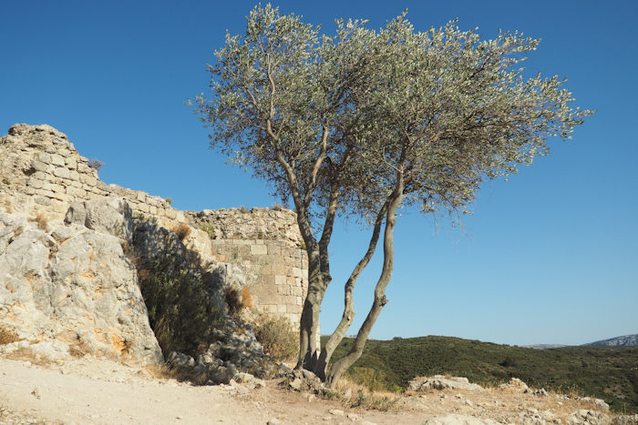 vacances Corbières 2016 - château d'Aguilar