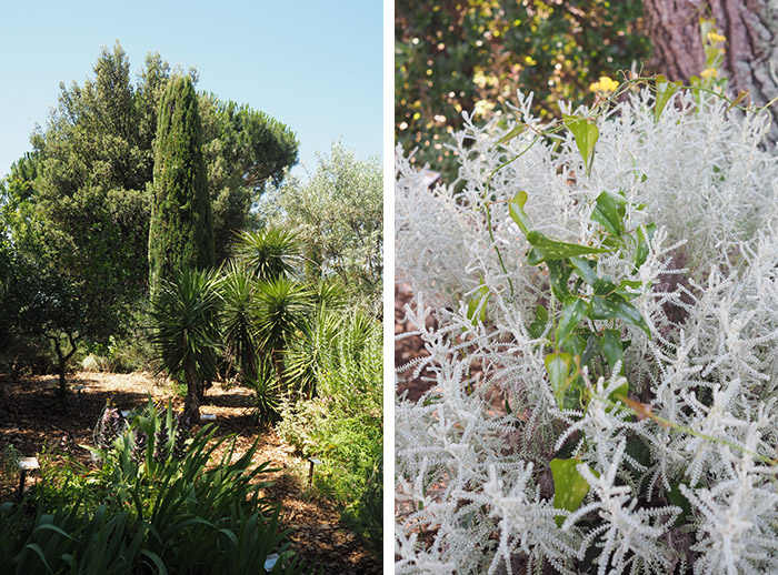 Jardin botanique Sanoflore Gigors