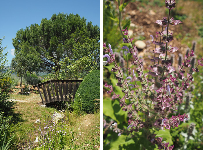 Jardin botanique Sanoflore Gigors