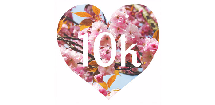 10K instagram