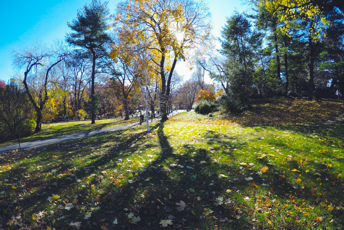 New York #DreamReal GoPro jour 2 Central Park