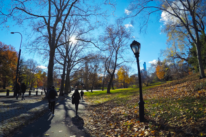 New York #DreamReal GoPro jour 2 Central Park