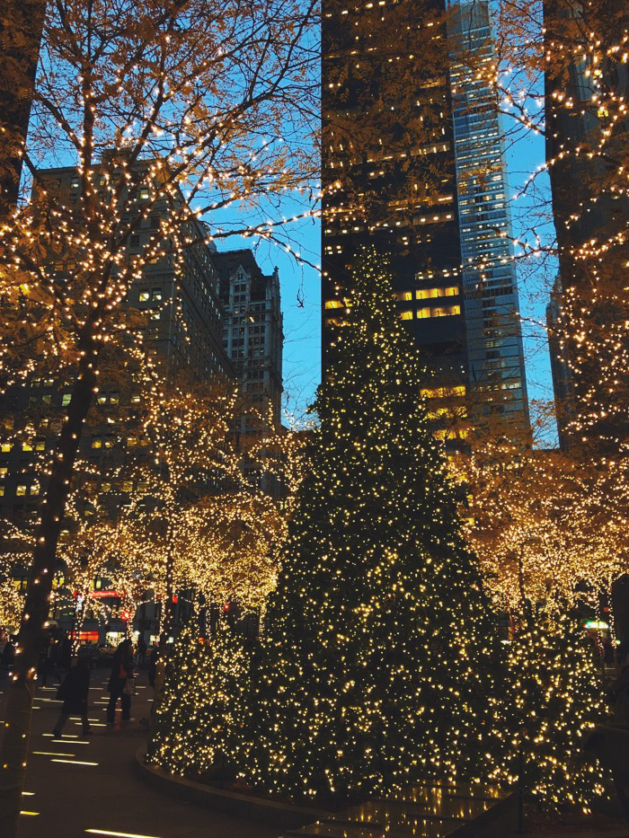 New York #DreamReal GoPro jour 3 - xmas lights
