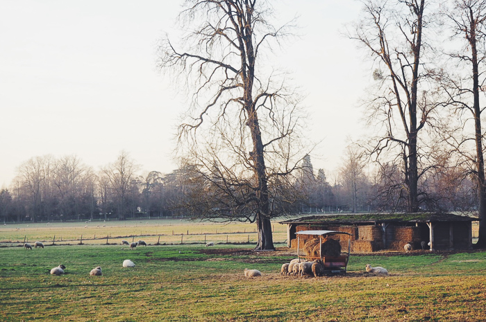 parc du Château de Versailles (via mercipourlechocolat.fr)