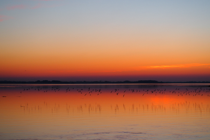 sunset ile tascon - Bretagne (via mercipourlechocolat.fr)