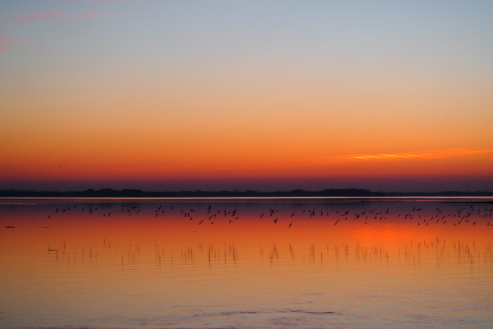 sunset ile tascon - Bretagne (via mercipourlechocolat.fr)