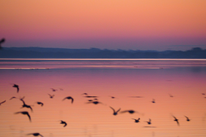 sunset ile tascon - Bretagne (via mercipourlechocolat.fr)