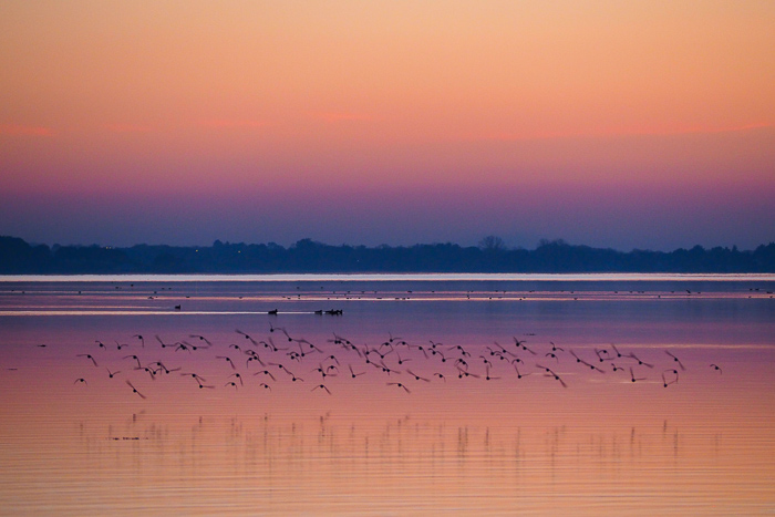 sunset ile tascon - Bretagne (via mercipourlechocolat.fr)
