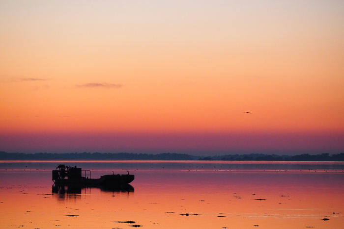 sunset ile tascon - Bretagne (via mercipourlechocolat.fr)