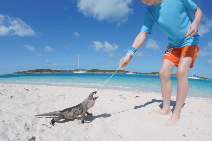 voyage Bahamas famille - Exuma Cays (via mercipourlechocolat.fr)