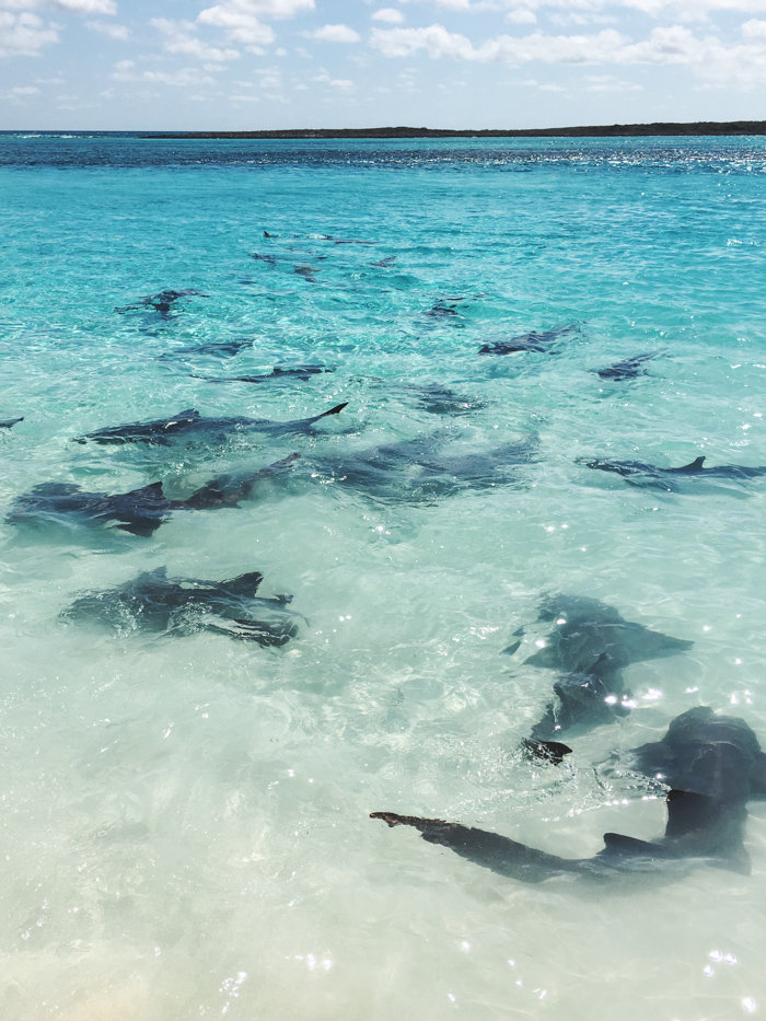 voyage Bahamas famille - Exuma Cays (via mercipourlechocolat.fr)