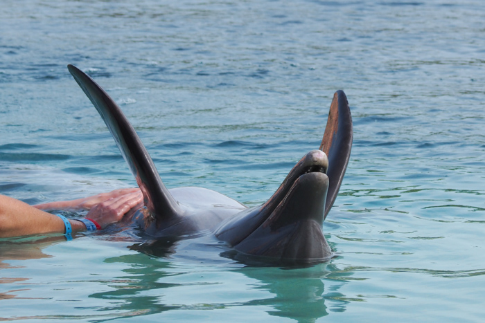 voyage Bahamas famille - Atlantis paradise island (via mercipourlechocolat.fr)