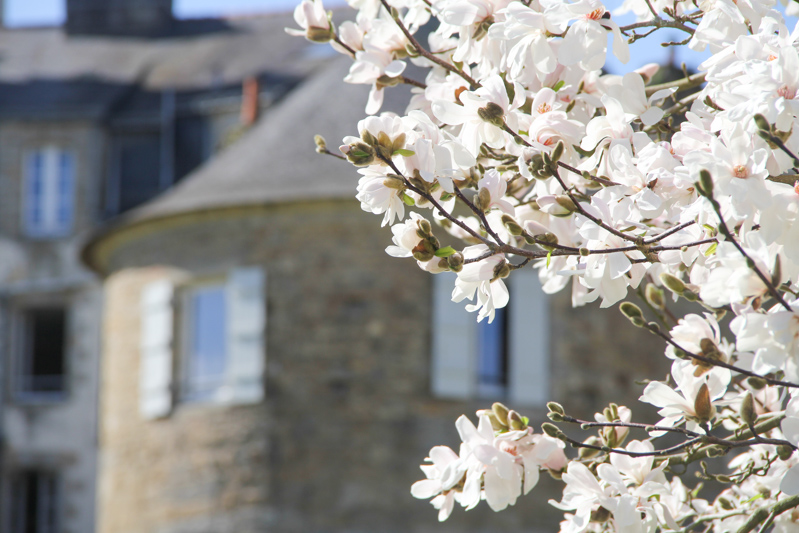 Remparts de Vannes au Printemps (via mercipourlechocolat.fr)