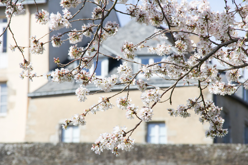 Remparts de Vannes au Printemps (via mercipourlechocolat.fr)