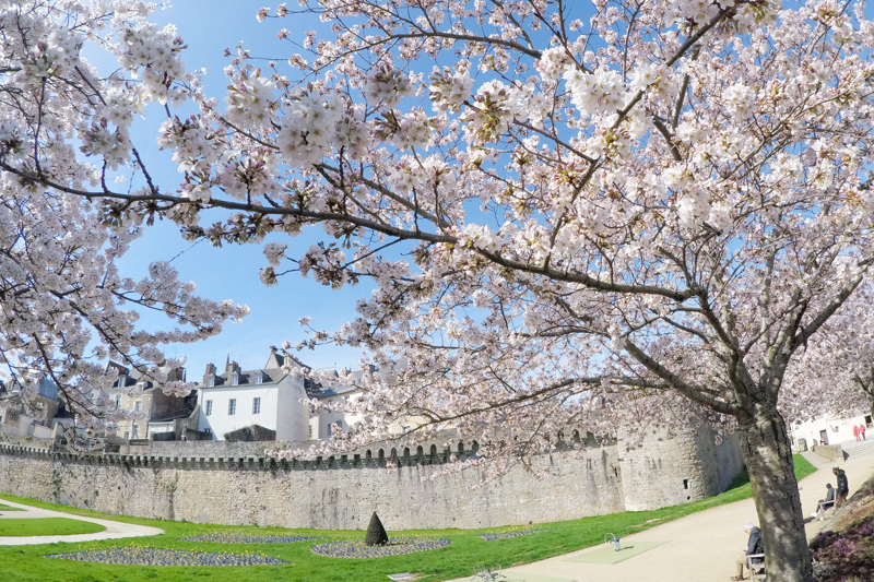 Remparts de Vannes au Printemps (via mercipourlechocolat.fr)