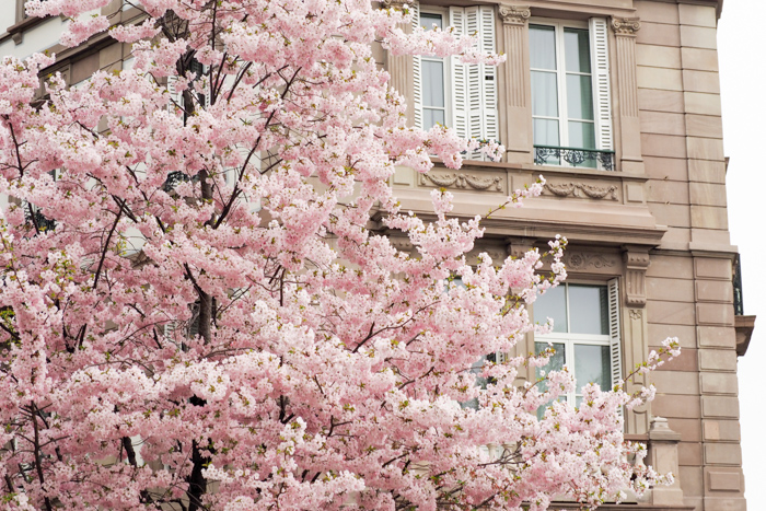 visite Strasbourg (via mercipourlechocolat.fr)