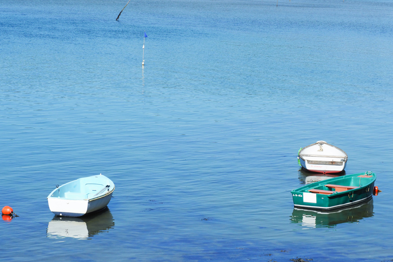 balade pointe d'arradon - Morbihan, Bretagne (via mercipourlechocolat.fr)