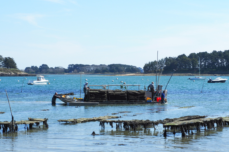 balade pointe d'arradon - Morbihan, Bretagne (via mercipourlechocolat.fr)