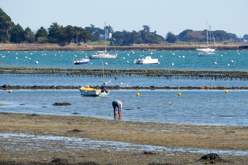 balade pointe d'arradon - Morbihan, Bretagne (via mercipourlechocolat.fr)