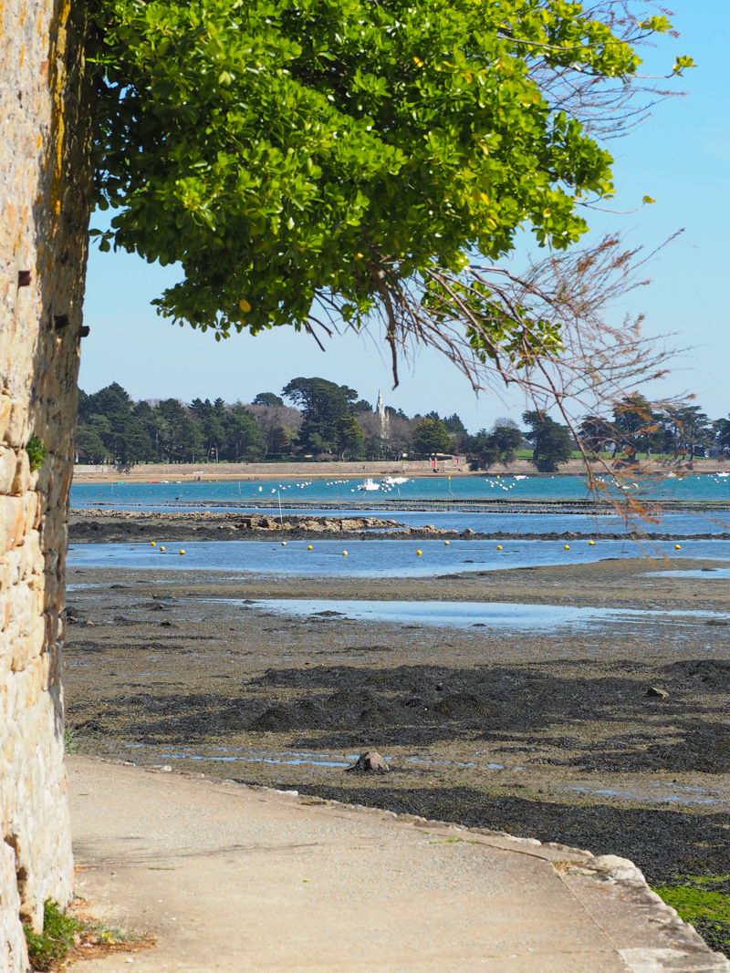 balade pointe d'arradon - Morbihan, Bretagne (via mercipourlechocolat.fr)