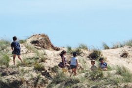 Mes 5 Plages Préférées Autour De Vannes Morbihan Bretagne
