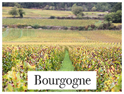 voyage bourgogne