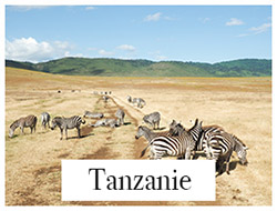 safari Tanzanie