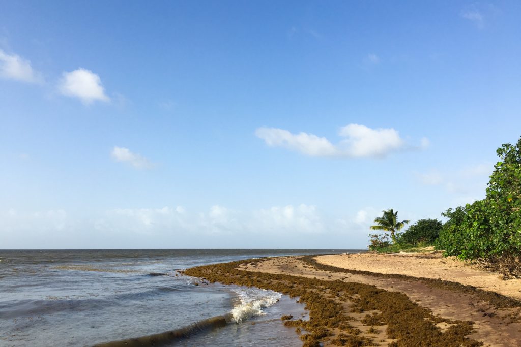 GUYANE - Awala-Yalimapo