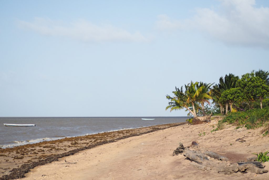 GUYANE - Awala-Yalimapo