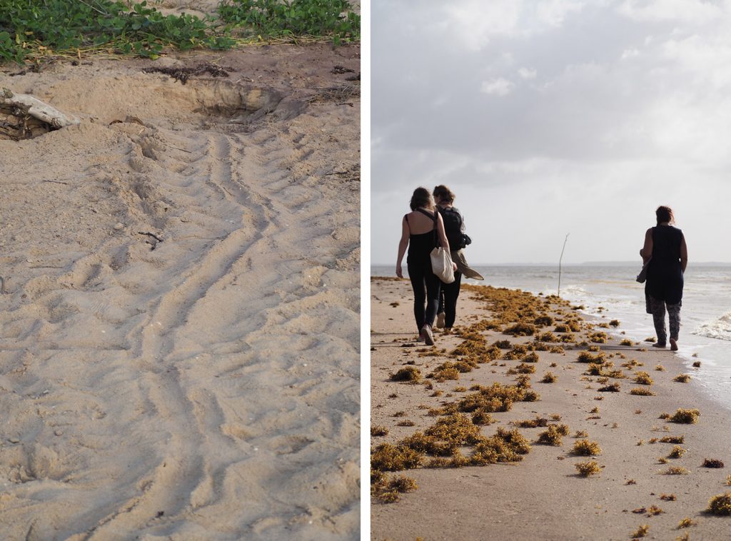 GUYANE - Awala-Yalimapo