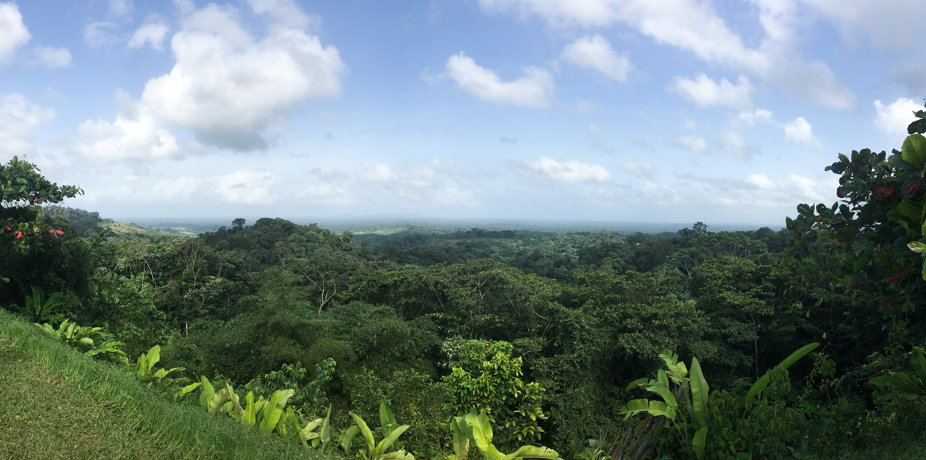 GUYANE - CACAO La Belle Vue 