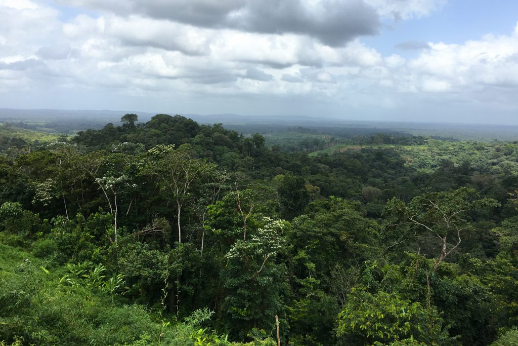 GUYANE - CACAO La Belle Vue