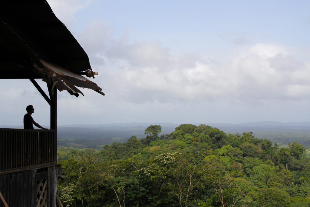 GUYANE - CACAO La Belle Vue