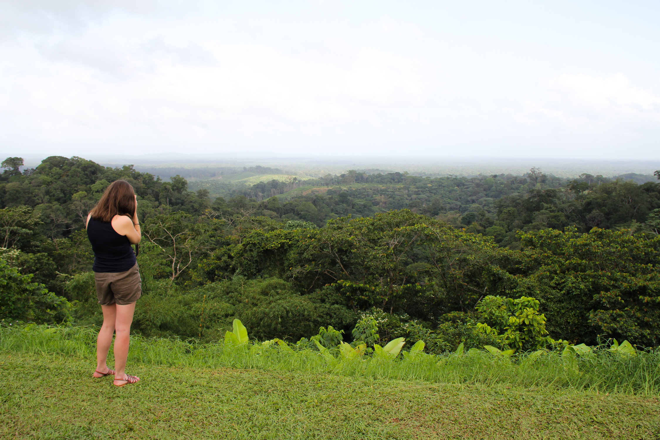 GUYANE - CACAO La Belle Vue 