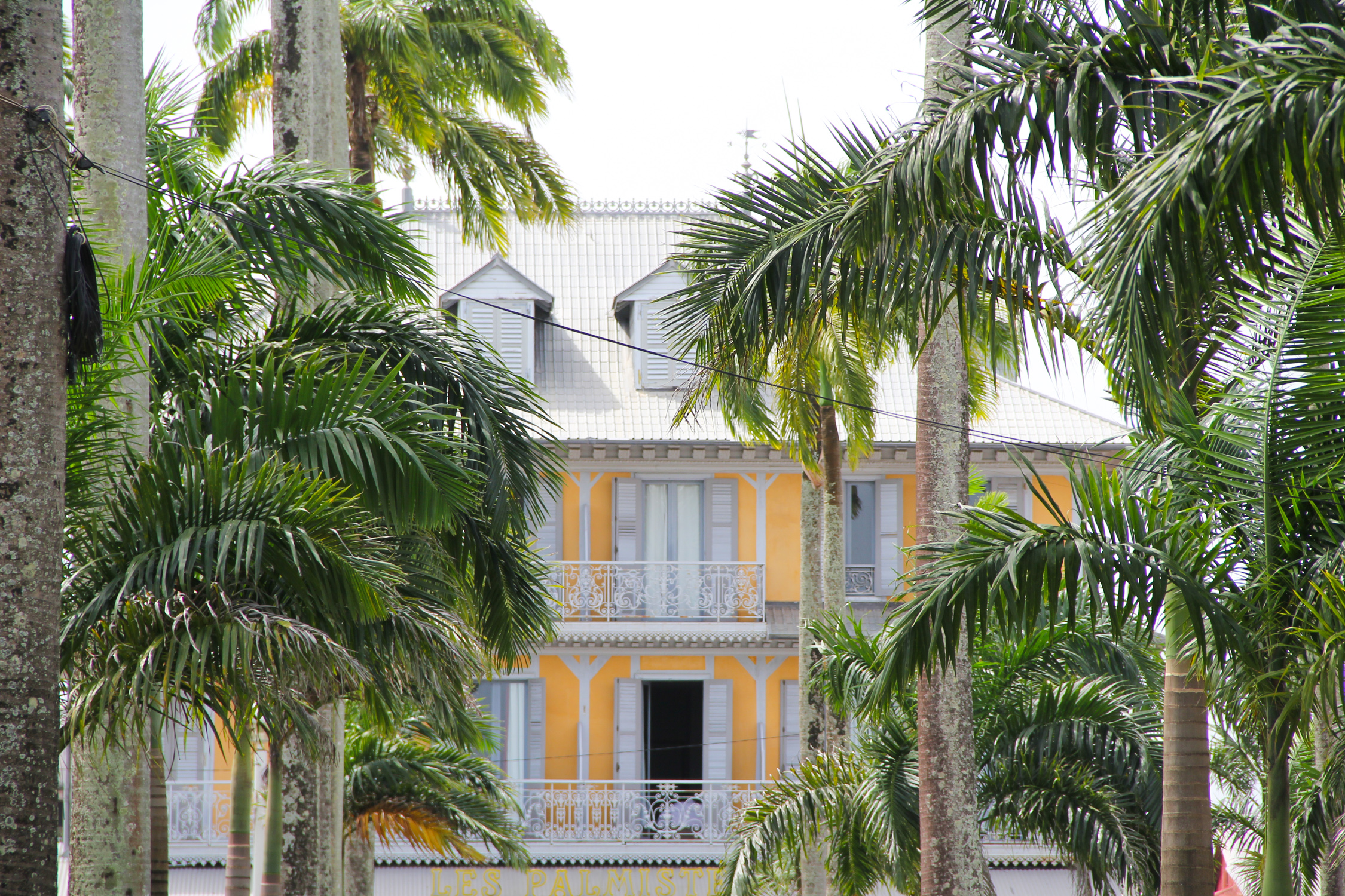 cayenne guyane