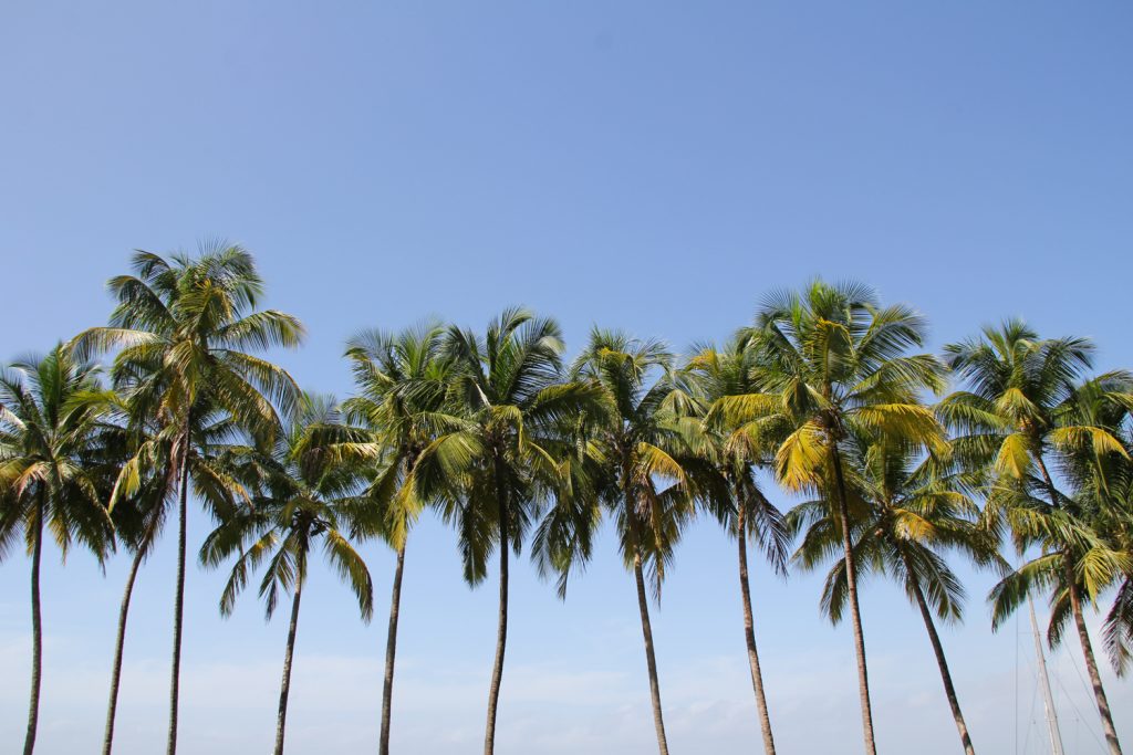 GUYANE - îles du Salut