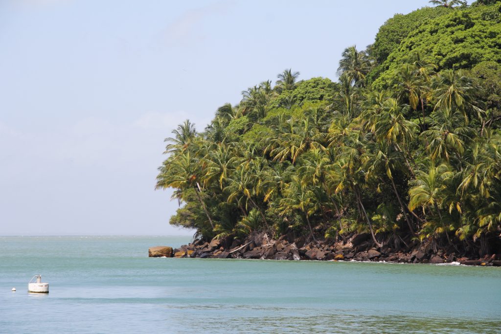 GUYANE - île du Salut