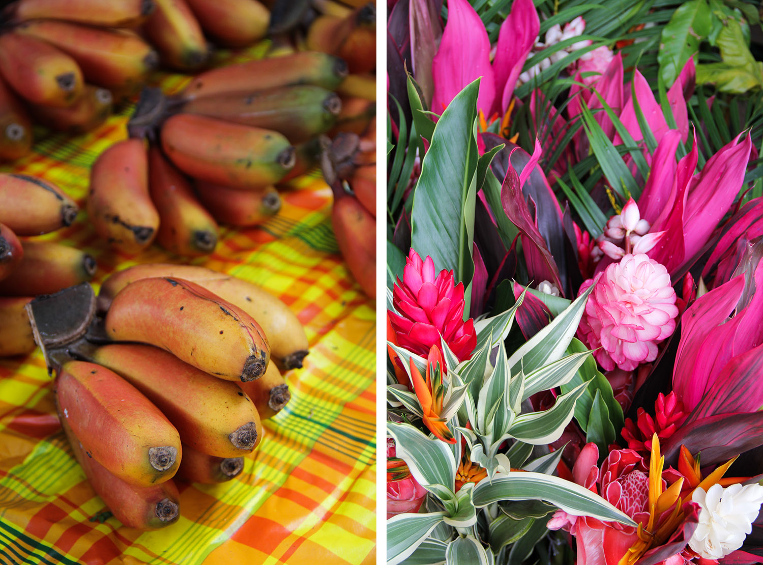 GUYANE - marché Hmong de Cacao