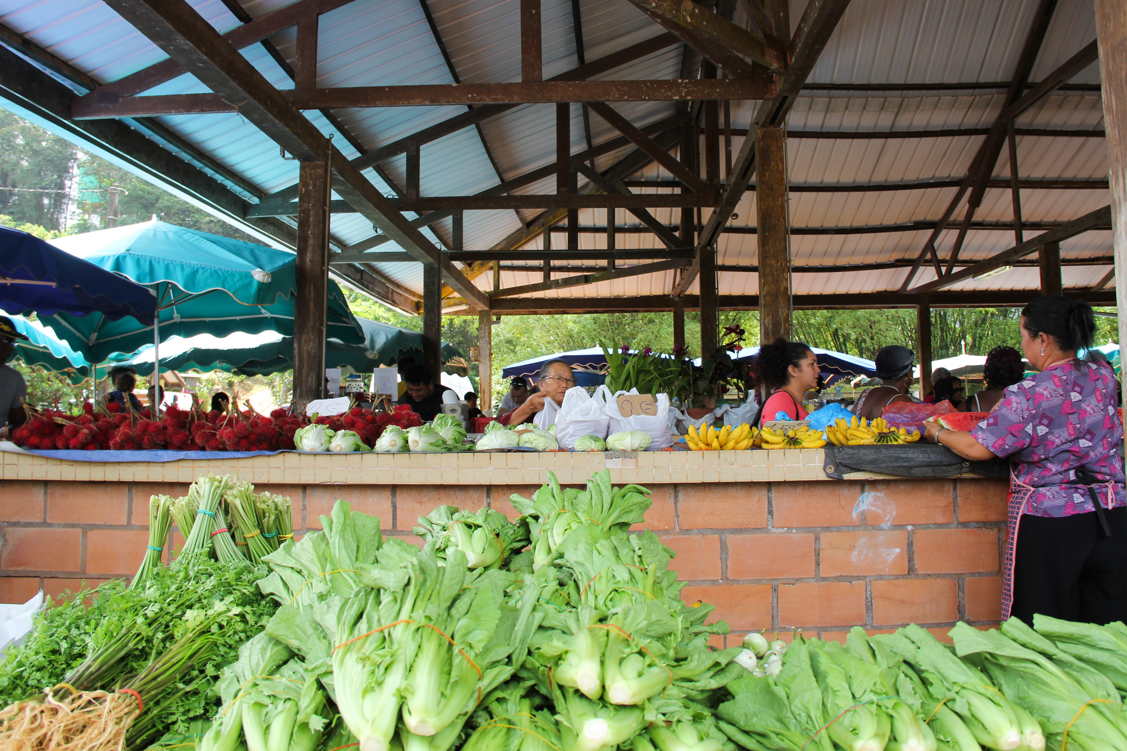 GUYANE - marché Hmong de Cacao